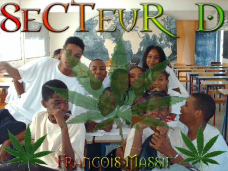 *Secteur D*